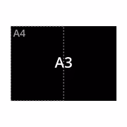 A3